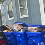 Trash/Recycling at 18 Homer St