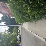 Sidewalk Obstruction at 11 Verndale St