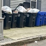 Trash/Recycling at 4 Davis Ct