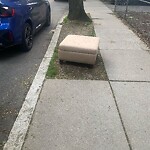 Trash/Recycling at 19 University Rd