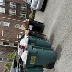 Rodent Issues at 198 Saint Paul St