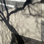 Sidewalk Repair at 1788 Beacon St, Brookline 02445