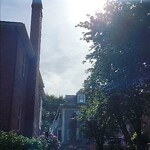 Public Trees at 47 Corey Rd