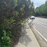 Sidewalk Obstruction at 19 Newton St