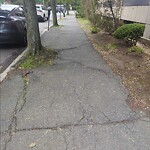 Sidewalk Repair at 15 Englewood Ave