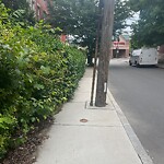 Sidewalk Obstruction at 7 Verndale St