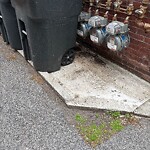 Rodent Issues at 1801 Beacon St
