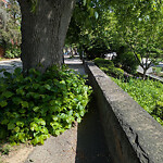 Sidewalk Obstruction at 43 Hawes St