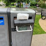 Trash/Recycling at 66 Stedman St