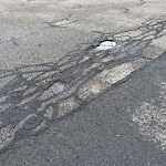 Pothole at 18 Cramond Rd, Chestnut Hill