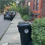 Trash/Recycling at 20 Netherlands Rd