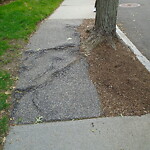 Sidewalk Repair at 216 Summit Ave