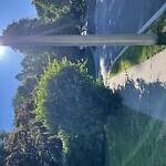 Safe Routes To School at 39 Cleveland Rd, Chestnut Hill 02467