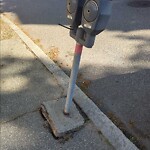 Sidewalk Repair at 19 Englewood Ave