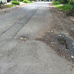 Pothole at 16 Copley St