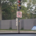 Traffic Signal at 812 Carlton St