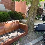 Trash/Recycling at 31 1/2 Englewood Ave