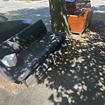 Trash/Recycling at 19 Englewood Ave