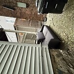 Rodent Issues at 18 Homer St