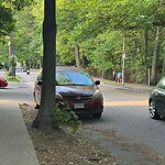 Parking Issues at 115 Freeman St