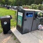 Trash/Recycling at 599 Brookline Ave