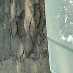 Pothole at Downing Rd