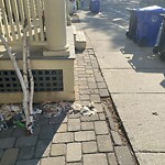 Rodent Issues at 261 Walnut St
