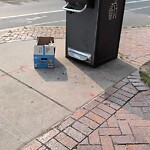 Trash/Recycling at N42.35 E71.13