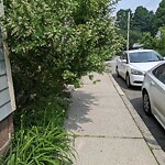 Sidewalk Obstruction at 51 53 Franklin St