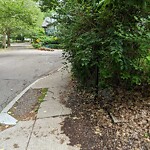 Sidewalk Obstruction at 29 Oakland Rd