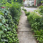 Sidewalk Obstruction at 42.35 N 71.12 W