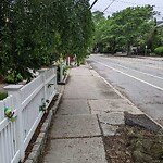 Sidewalk Obstruction at 162 Cypress St