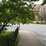 Sidewalk Obstruction at 83 Ivy St