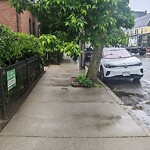 Sidewalk Obstruction at 249 Cypress St