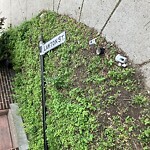 Damaged Sign at Lawton St