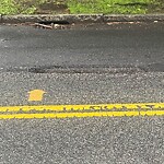 Pothole at 64 Sumner Rd