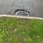 Pothole at 44 Sumner Rd