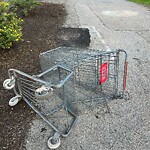 Trash/Recycling at 75 Stedman St