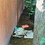 Trash/Recycling at 41 Centre St