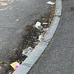 Trash/Recycling at 41 Centre St