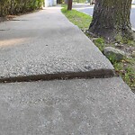 Sidewalk Repair at 78 Dean Rd