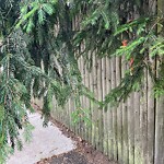 Sidewalk Obstruction at 182 Lee St