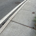 Dead Animals at 745 Heath St, Chestnut Hill