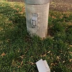 Streetlight at 100–166 Greenough St