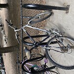 Abandoned Bike at Longwood Playground, 27 Francis St, Brookline 02446