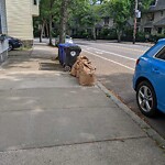 Trash/Recycling at 254 Cypress St