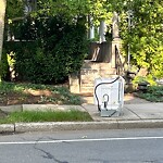 Trash/Recycling at 150 Naples Rd