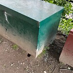 Rodent Issues at 42.33 N 71.15 W