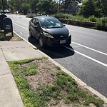 Parking Ticket at 1450 Beacon St
