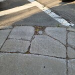 Sidewalk Repair at 2 Francis St